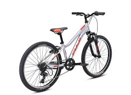 Fuji Dynamite 24" Sport Shimano Tourney - 2025 Silver