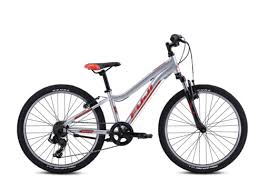 Fuji Dynamite 24" Sport Shimano Tourney - 2025 Silver