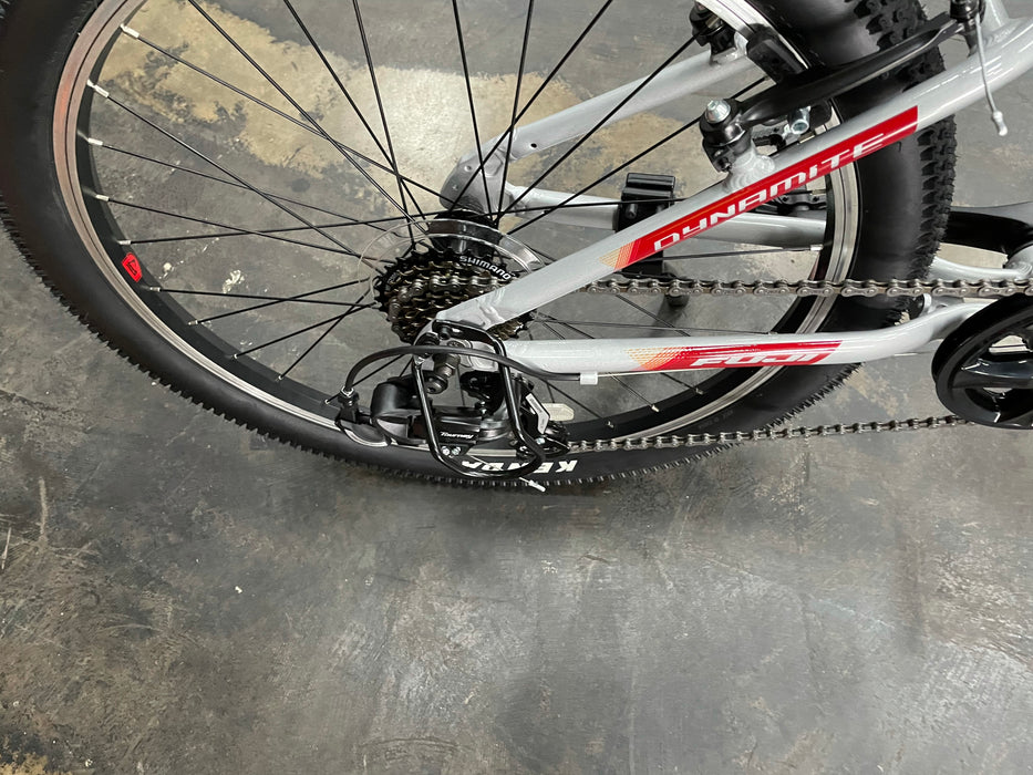 Fuji Dynamite 24" Sport Shimano Tourney - 2025 Silver